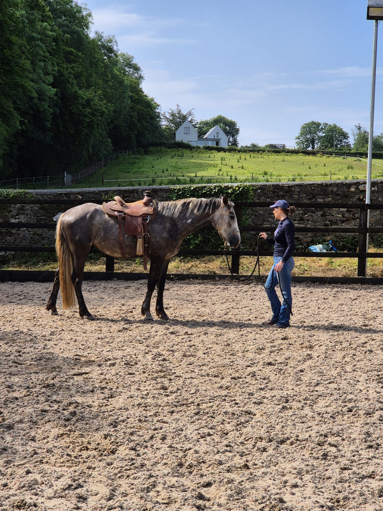 Horse and rider