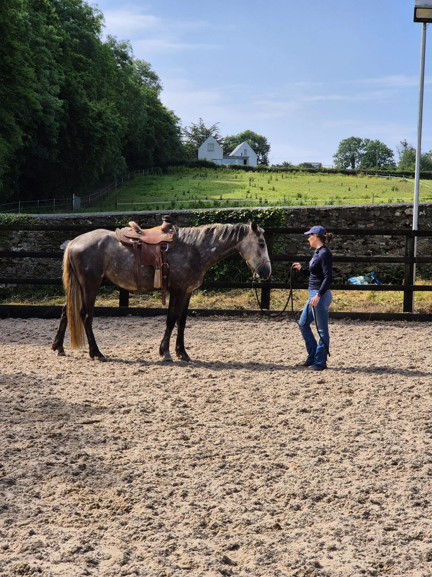 Horse and rider